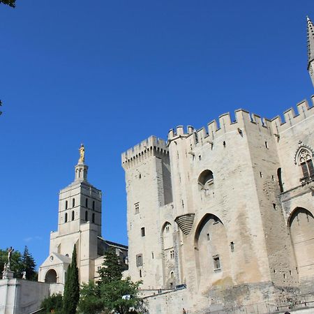 Le Petit Avignon - Chambres & Appartement A Deux Pas Du Pont D'Avignon Et Du Palais Des Papes Ngoại thất bức ảnh