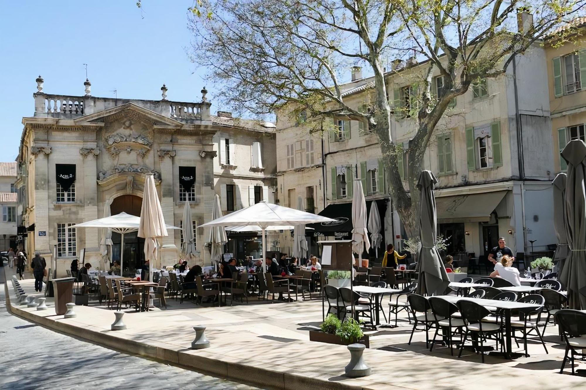 Le Petit Avignon - Chambres & Appartement A Deux Pas Du Pont D'Avignon Et Du Palais Des Papes Ngoại thất bức ảnh