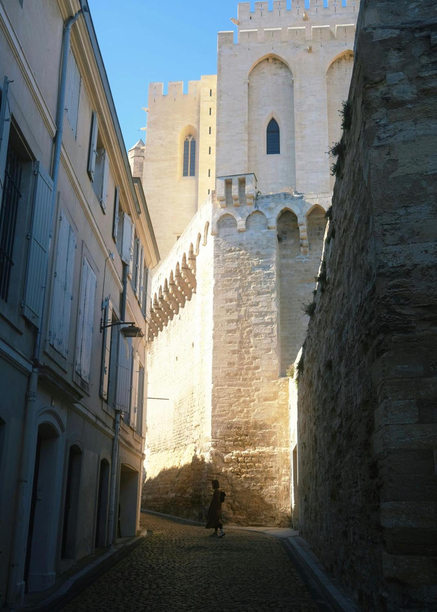 Le Petit Avignon - Chambres & Appartement A Deux Pas Du Pont D'Avignon Et Du Palais Des Papes Ngoại thất bức ảnh