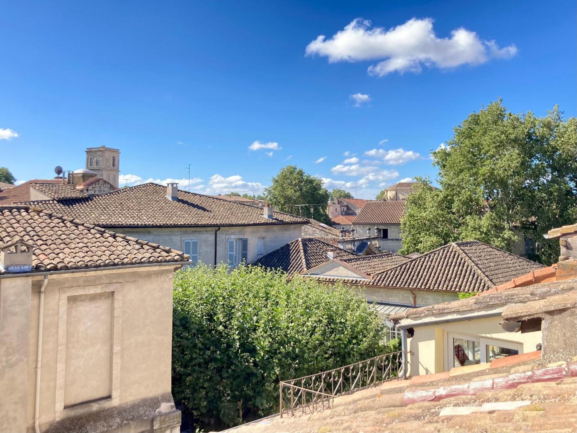 Le Petit Avignon - Chambres & Appartement A Deux Pas Du Pont D'Avignon Et Du Palais Des Papes Ngoại thất bức ảnh